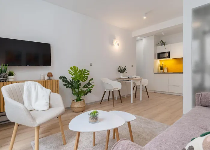 Wyjatkowy Prestige Kawalerka W Centrum Lodzi